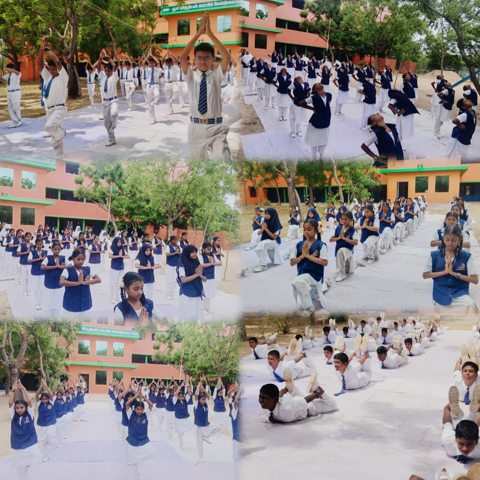 School library